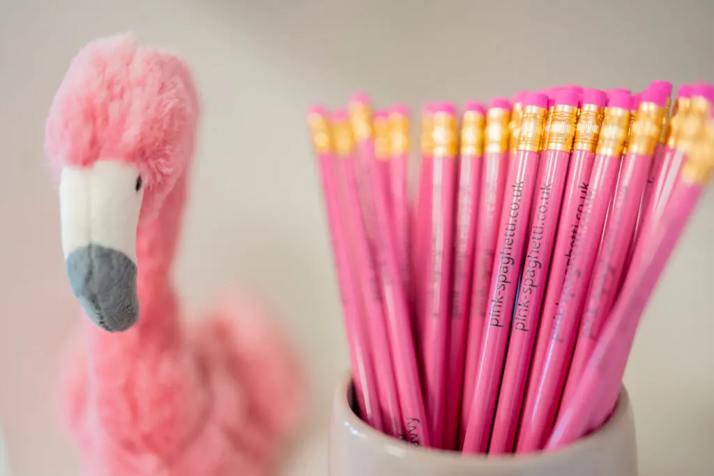 pink spaghetti sua pencils and flamingo